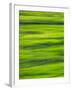 Oh So Green-Doug Chinnery-Framed Photographic Print