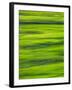 Oh So Green-Doug Chinnery-Framed Photographic Print