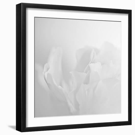 Oh So White-Doug Chinnery-Framed Photographic Print