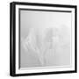 Oh So White-Doug Chinnery-Framed Photographic Print