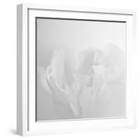 Oh So White-Doug Chinnery-Framed Photographic Print