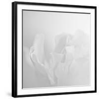 Oh So White-Doug Chinnery-Framed Photographic Print