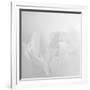 Oh So White-Doug Chinnery-Framed Photographic Print