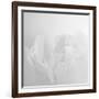 Oh So White-Doug Chinnery-Framed Photographic Print