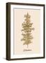 Oh Tannebaum (Gold)-Kubistika-Framed Giclee Print