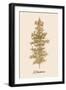 Oh Tannebaum (Gold)-Kubistika-Framed Giclee Print