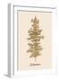 Oh Tannebaum (Gold)-Kubistika-Framed Giclee Print