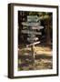 Oh the Places You Will Go-Lance Kuehne-Framed Photographic Print