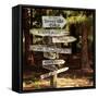 Oh the Places You Will Go-Lance Kuehne-Framed Stretched Canvas