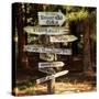 Oh the Places You Will Go-Lance Kuehne-Stretched Canvas