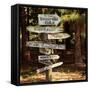 Oh the Places You Will Go-Lance Kuehne-Framed Stretched Canvas