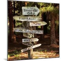 Oh the Places You Will Go-Lance Kuehne-Mounted Photographic Print
