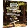 Oh the Places You Will Go-Lance Kuehne-Mounted Photographic Print
