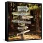 Oh the Places You Will Go-Lance Kuehne-Framed Stretched Canvas