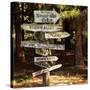 Oh the Places You Will Go-Lance Kuehne-Stretched Canvas