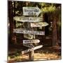Oh the Places You Will Go-Lance Kuehne-Mounted Premium Photographic Print