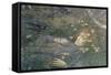 'Oh What's That in the Hollow?'-Edward Robert Hughes-Framed Stretched Canvas