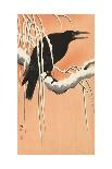 Japanese Crane on Pine Branch, 1900-30-Ohara Koson-Art Print