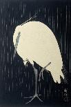 Egret in the Rain, 1925-36 (Colour Woodcut)-Ohara Koson-Giclee Print