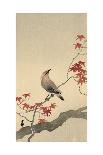 Ape with Insect and Matsuki Heikichi, C. 1900-30, Japanese Woodcut-Ohara Koson-Framed Art Print