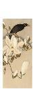 Ape with Insect and Matsuki Heikichi, C. 1900-30, Japanese Woodcut-Ohara Koson-Stretched Canvas