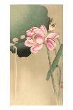 Ape with Insect and Matsuki Heikichi, C. 1900-30, Japanese Woodcut-Ohara Koson-Art Print