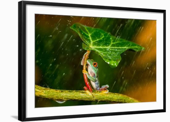 Ohh Noo :( It's Raining-Kutub Uddin-Framed Premium Photographic Print