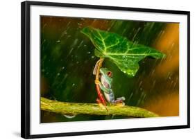 Ohh Noo :( It's Raining-Kutub Uddin-Framed Premium Photographic Print