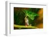 Ohh Noo :( It's Raining-Kutub Uddin-Framed Photographic Print