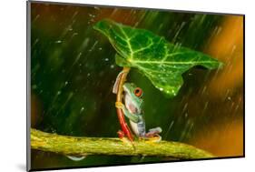 Ohh Noo :( It's Raining-Kutub Uddin-Mounted Photographic Print