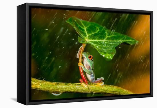 Ohh Noo :( It's Raining-Kutub Uddin-Framed Stretched Canvas