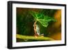 Ohh Noo :( It's Raining-Kutub Uddin-Framed Photographic Print