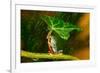 Ohh Noo :( It's Raining-Kutub Uddin-Framed Photographic Print