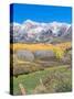 Ohio Creek Road, near Crested Butte, Colorado, USA-Rob Tilley-Stretched Canvas