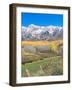 Ohio Creek Road, near Crested Butte, Colorado, USA-Rob Tilley-Framed Photographic Print
