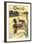 Ohio - Mallard Ducks-Lantern Press-Framed Art Print