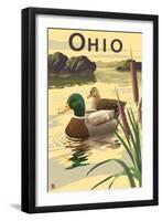 Ohio - Mallard Ducks-Lantern Press-Framed Art Print