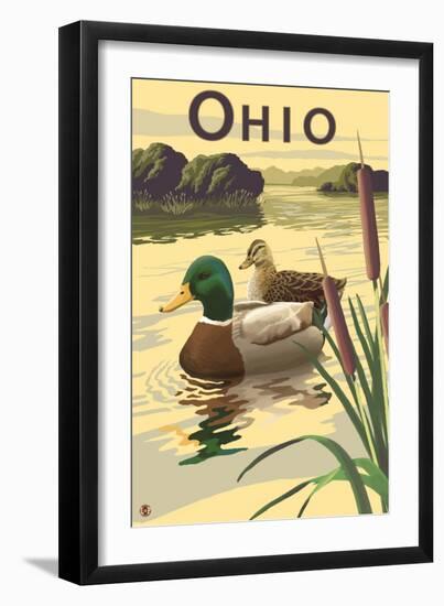 Ohio - Mallard Ducks-Lantern Press-Framed Art Print