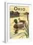 Ohio - Mallard Ducks-Lantern Press-Framed Art Print