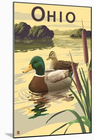 Ohio - Mallard Ducks-Lantern Press-Mounted Art Print