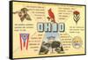 Ohio's Flag, Bird, Capitol, etc.-null-Framed Stretched Canvas