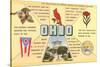 Ohio's Flag, Bird, Capitol, etc.-null-Stretched Canvas