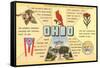 Ohio's Flag, Bird, Capitol, etc.-null-Framed Stretched Canvas