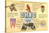 Ohio's Flag, Bird, Capitol, etc.-null-Stretched Canvas