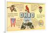 Ohio's Flag, Bird, Capitol, etc.-null-Framed Art Print