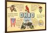 Ohio's Flag, Bird, Capitol, etc.-null-Framed Art Print