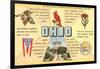 Ohio's Flag, Bird, Capitol, etc.-null-Framed Art Print