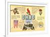 Ohio's Flag, Bird, Capitol, etc.-null-Framed Art Print