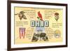 Ohio's Flag, Bird, Capitol, etc.-null-Framed Art Print