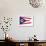 Ohio State Flag - Letterpress-Lantern Press-Framed Art Print displayed on a wall